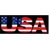 UNITED STATES USA FLAG SCRIPT PIN